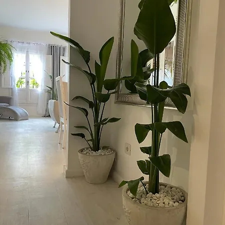 Apartment Away From *